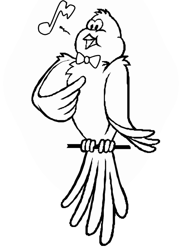 Birds Coloring Page