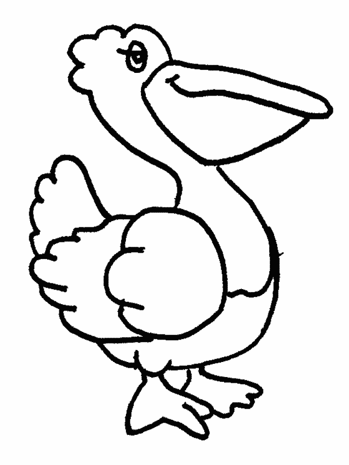 Coloring Pages for Birds