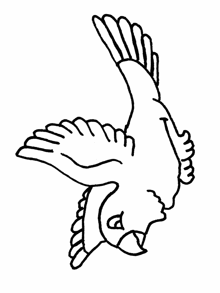 Birds 9 Animals Coloring Pages