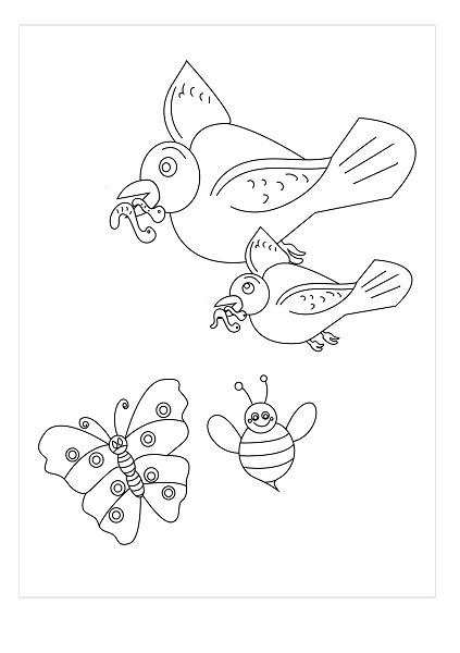 Birds and Insects Coloring Pages