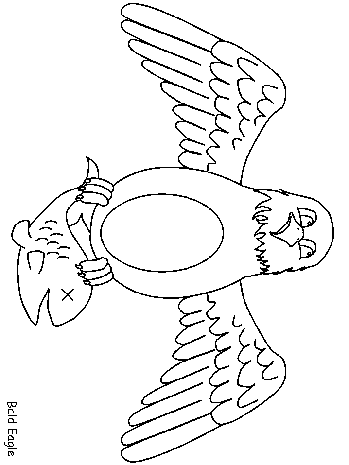 Birds Baldeagle Animals Coloring Pages