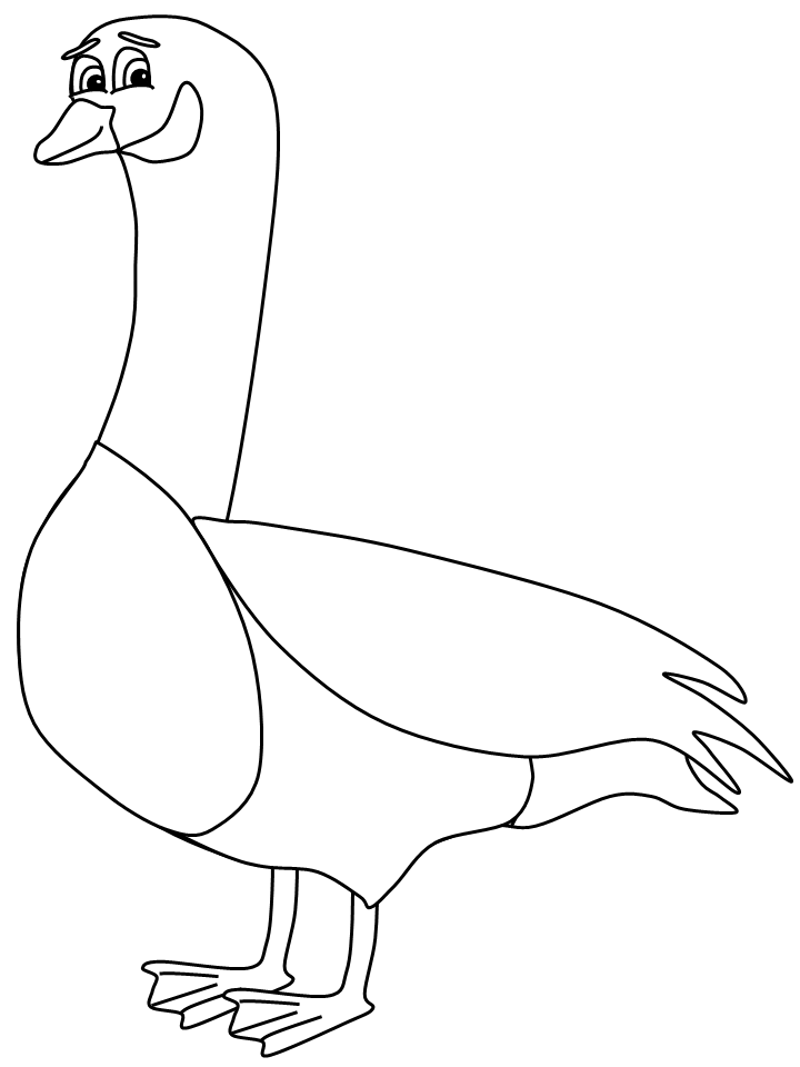 Birds Canada Goose Animals Coloring Pages