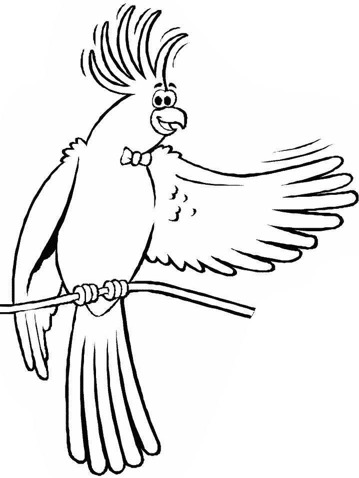 Birds Cockatiel Animals Coloring Pages