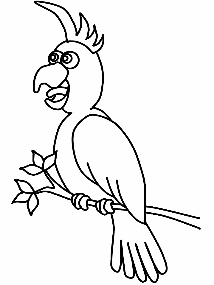 Cockatiel Coloring Pages