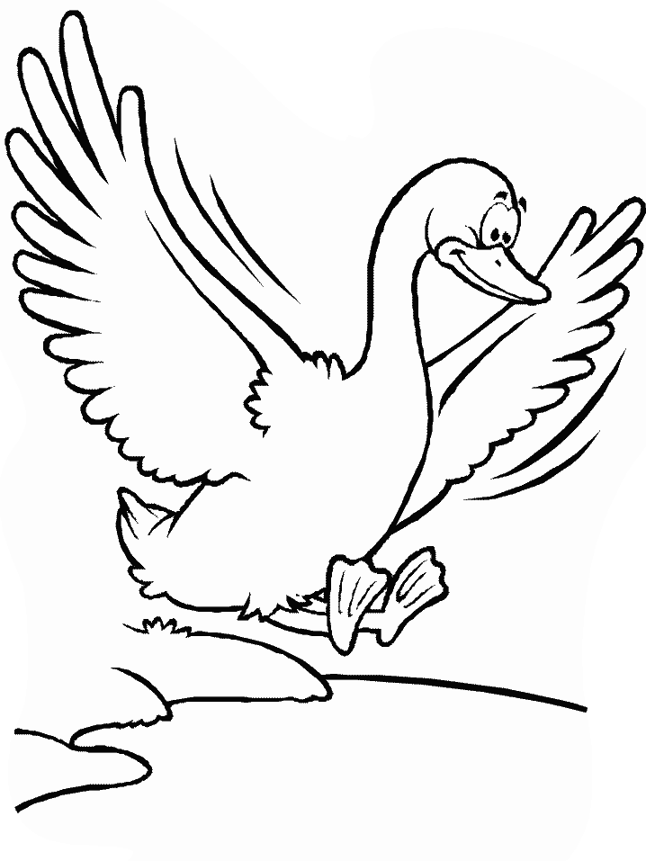 Birds Duck Animals Coloring Pages