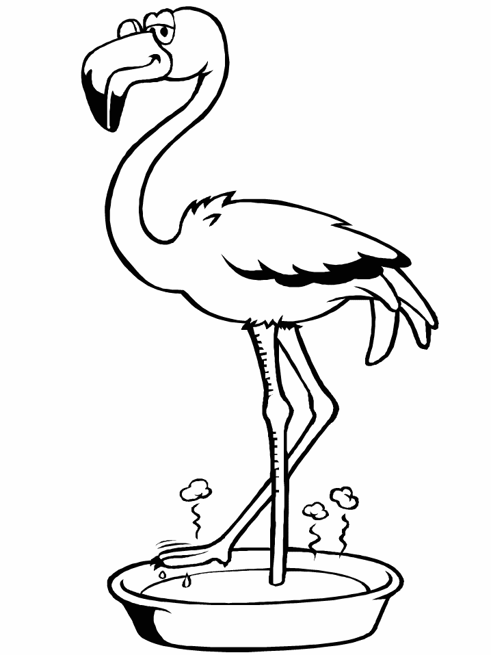 Birds Flamingo Animals Coloring Pages