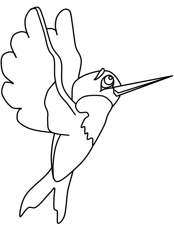 Humming Bird Coloring Pages