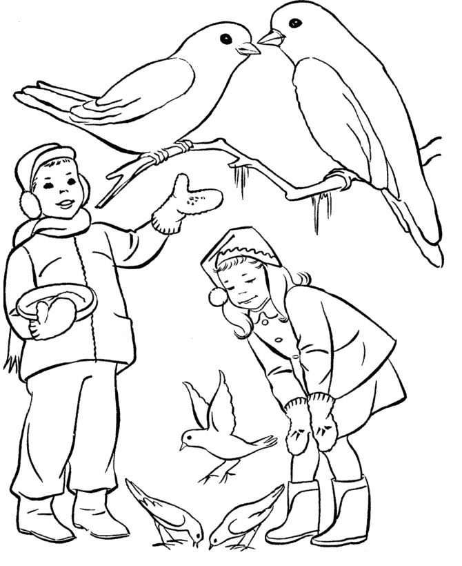 birds in winter coloring pages