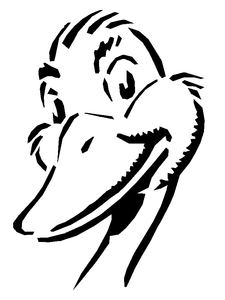 Duck Head Coloring Pages