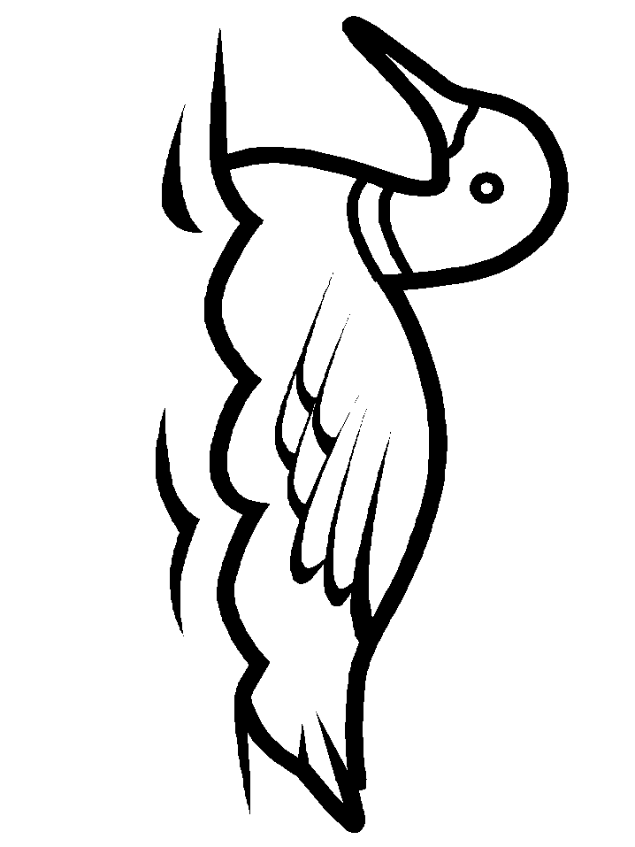 Birds K4 Animals Coloring Pages