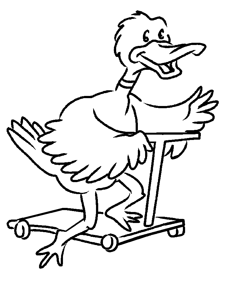 Bird Coloring Page