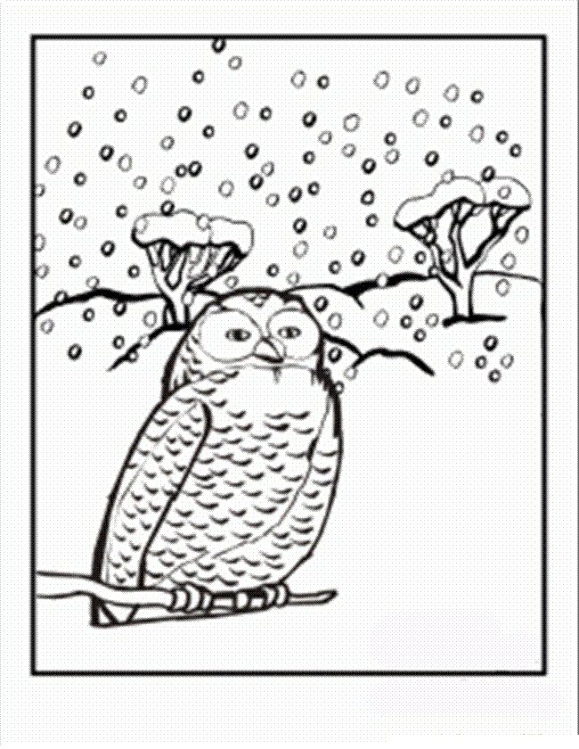 birds of winter coloring pages