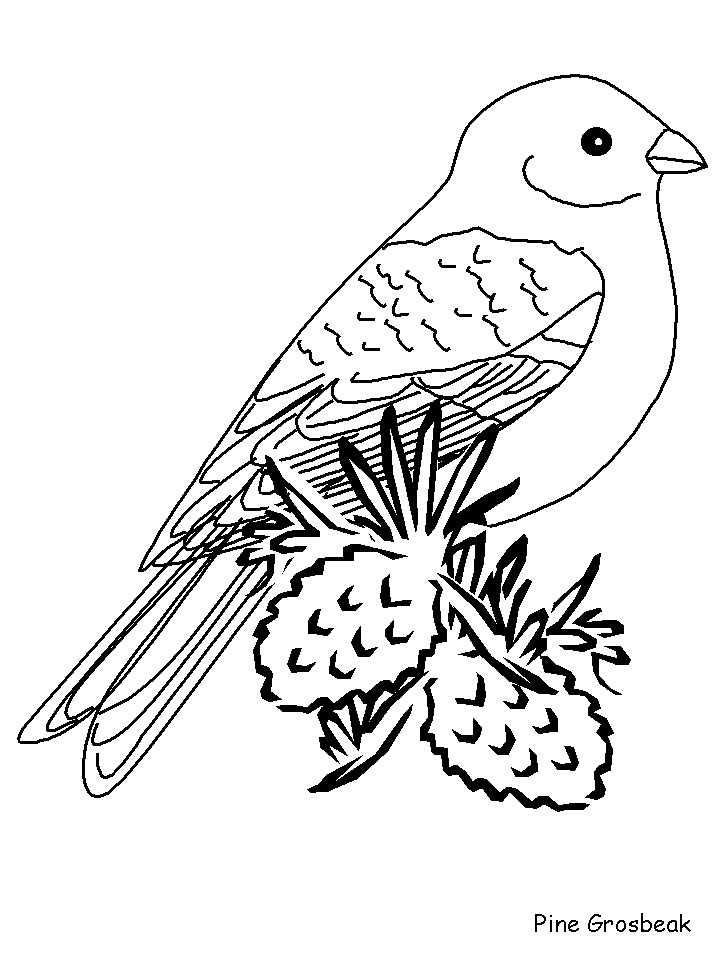 Birds Pinegrosbeak Animals Coloring Pages