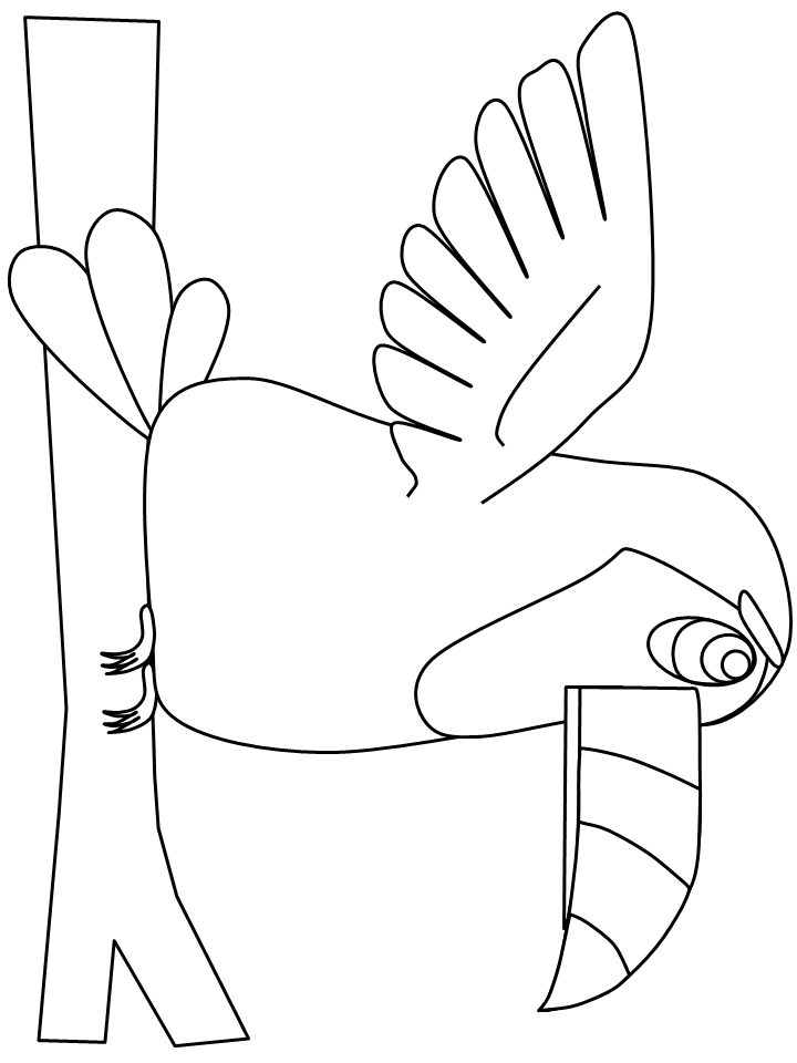 Birds Toucan Animals Coloring Pages