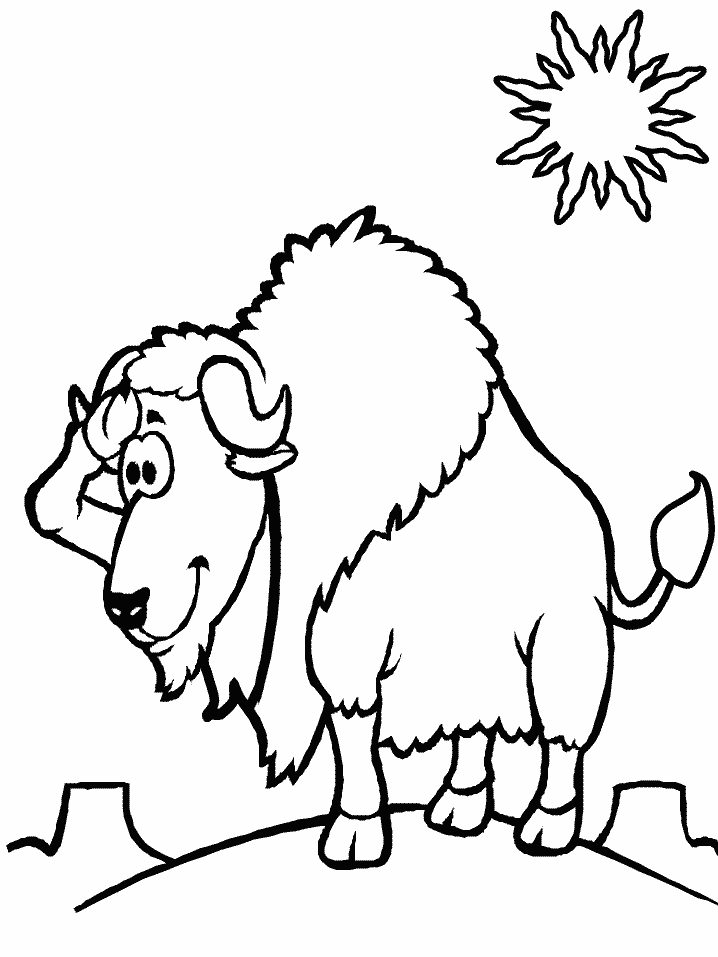 Bison Animals Coloring Pages
