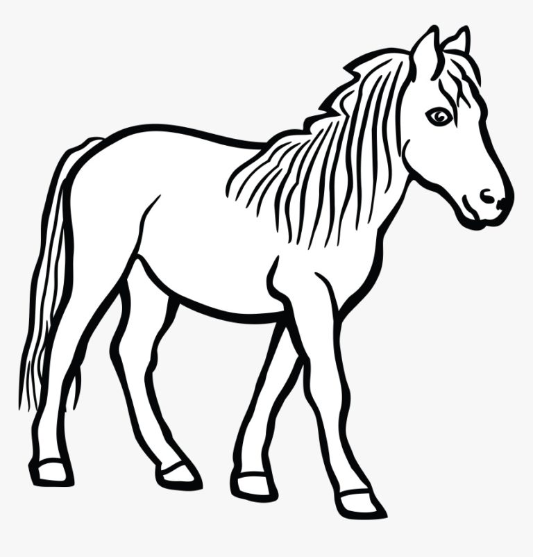 Black and White Horse Coloring Pages &amp; book for kids.