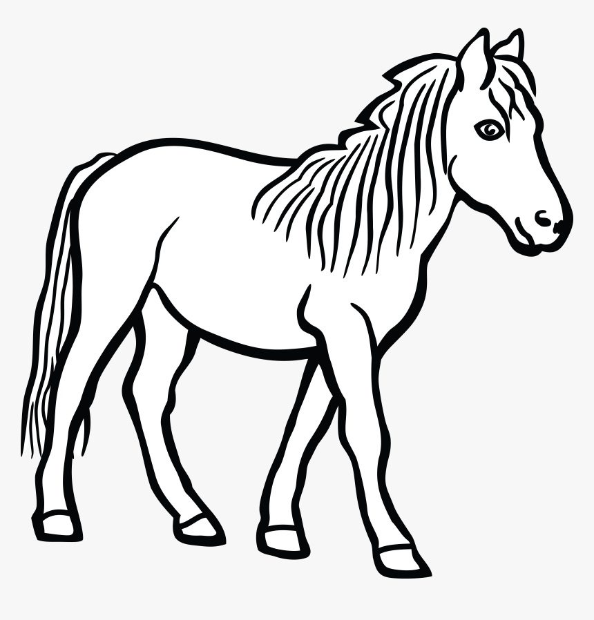 black and white horse coloring pages