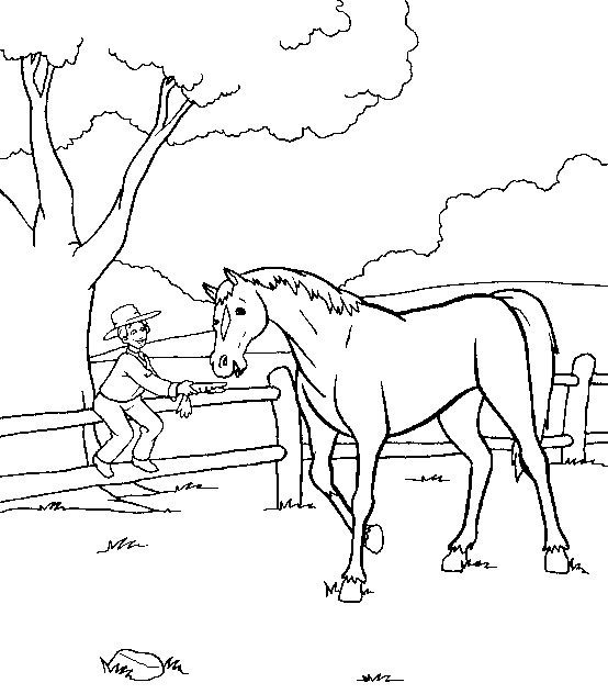 Black Beauty Horse Coloring Pages