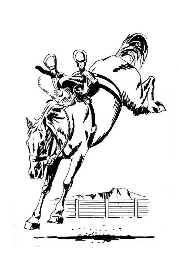 buck horse badge coloring pages