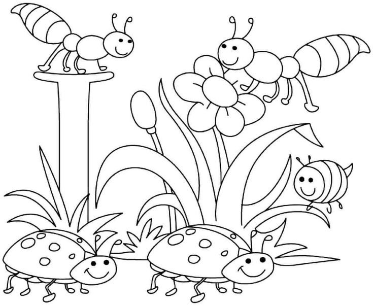 Bugs and Insects Coloring Pages