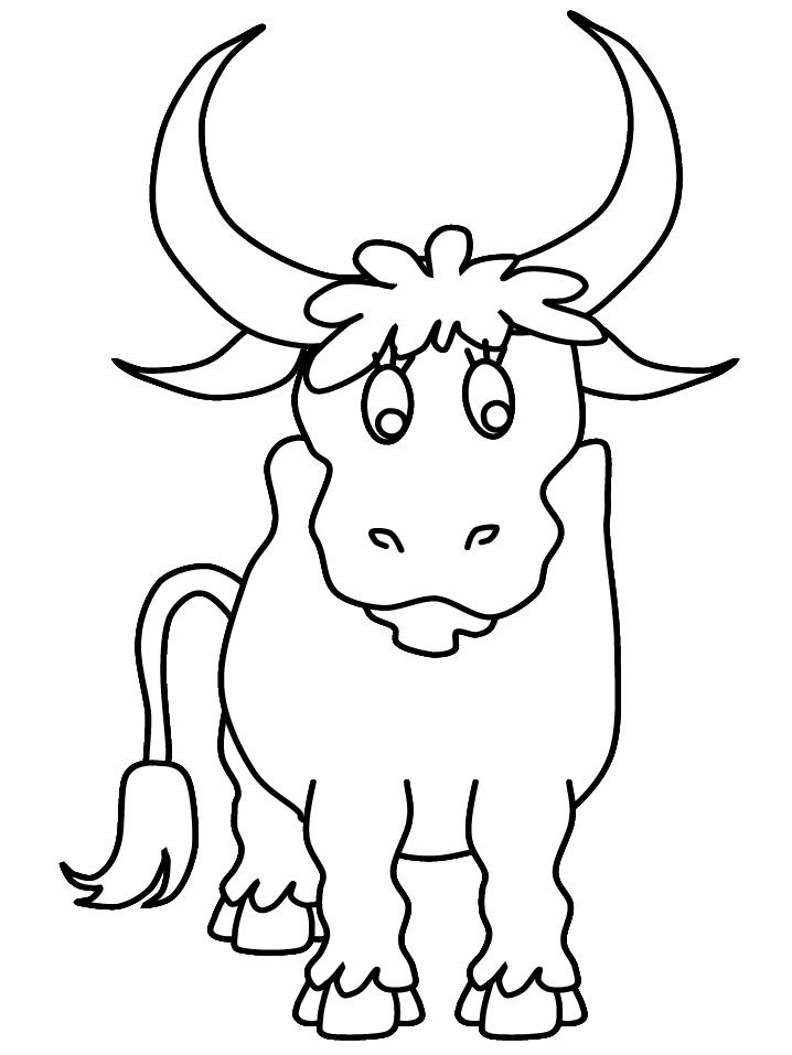 Coloring Pages Bull