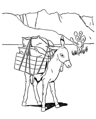 burro coloring page