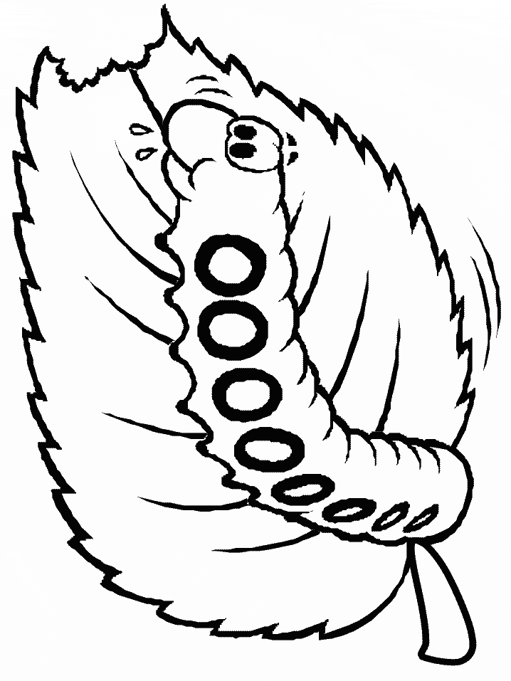 Butterfly Larvae coloring page
