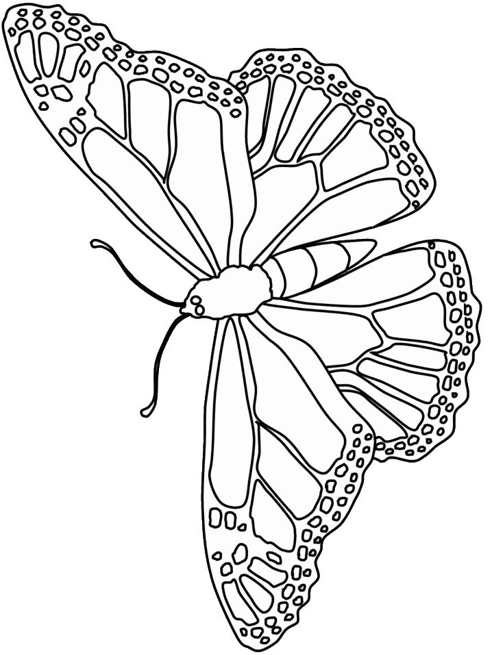 butterfly printable coloring page