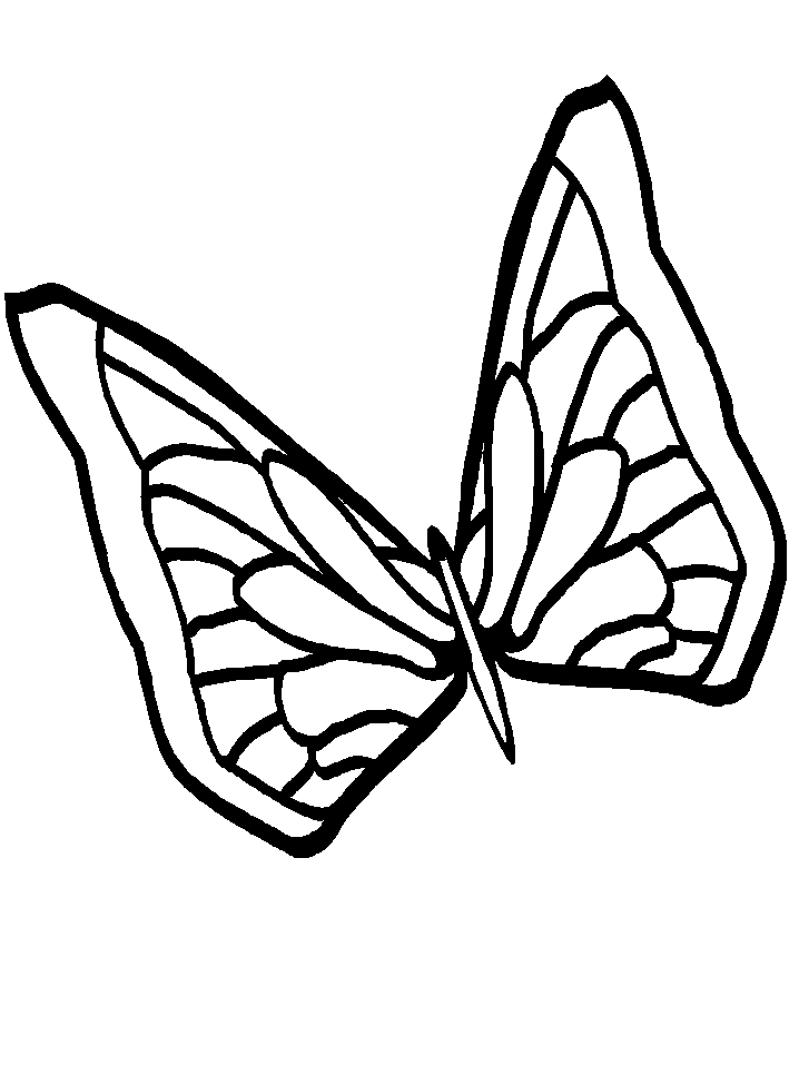 Coloring Pages Monarch Butterfly