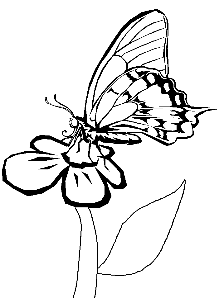 Free Coloring Pages of Butterflies
