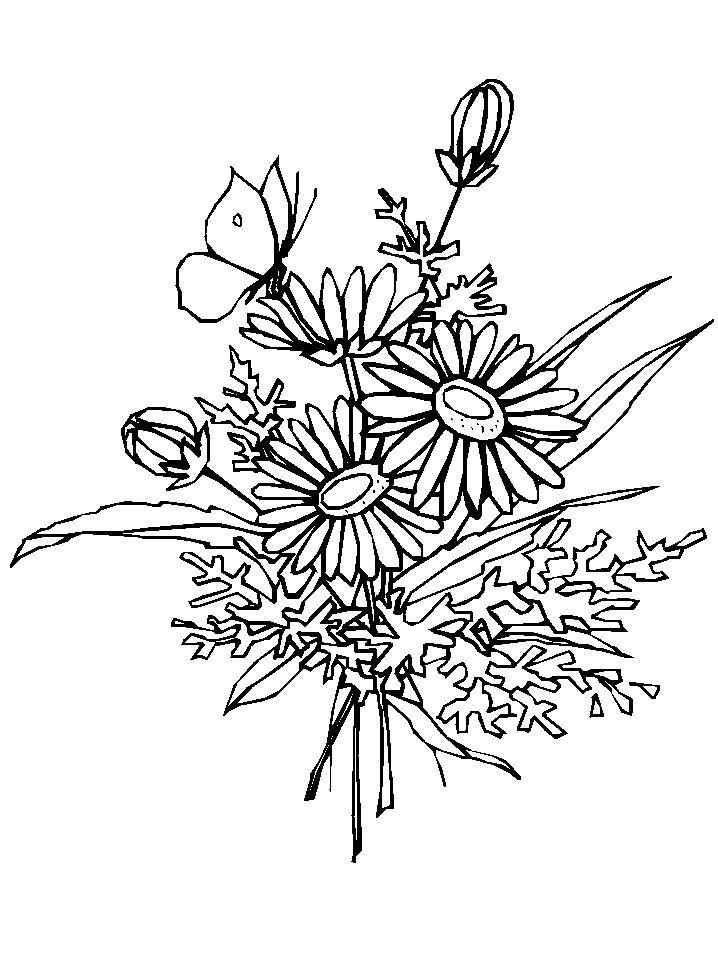 Flowers and Butterflies Coloring Pages