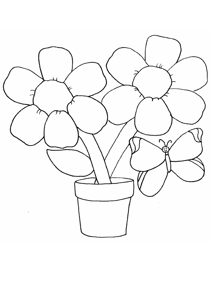 Coloring Pages of Butterflies and Flowers
