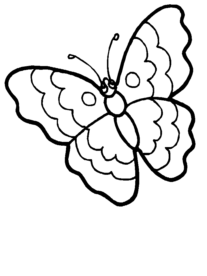 Free Printable Coloring Pages Butterflies