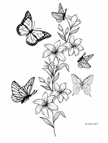 butterfly and flower coloring pages for adults