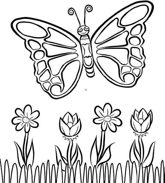 butterfly and flower coloring pages for kids
