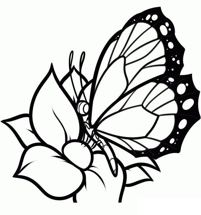 Butterfly and Flower Coloring Pages for Kids