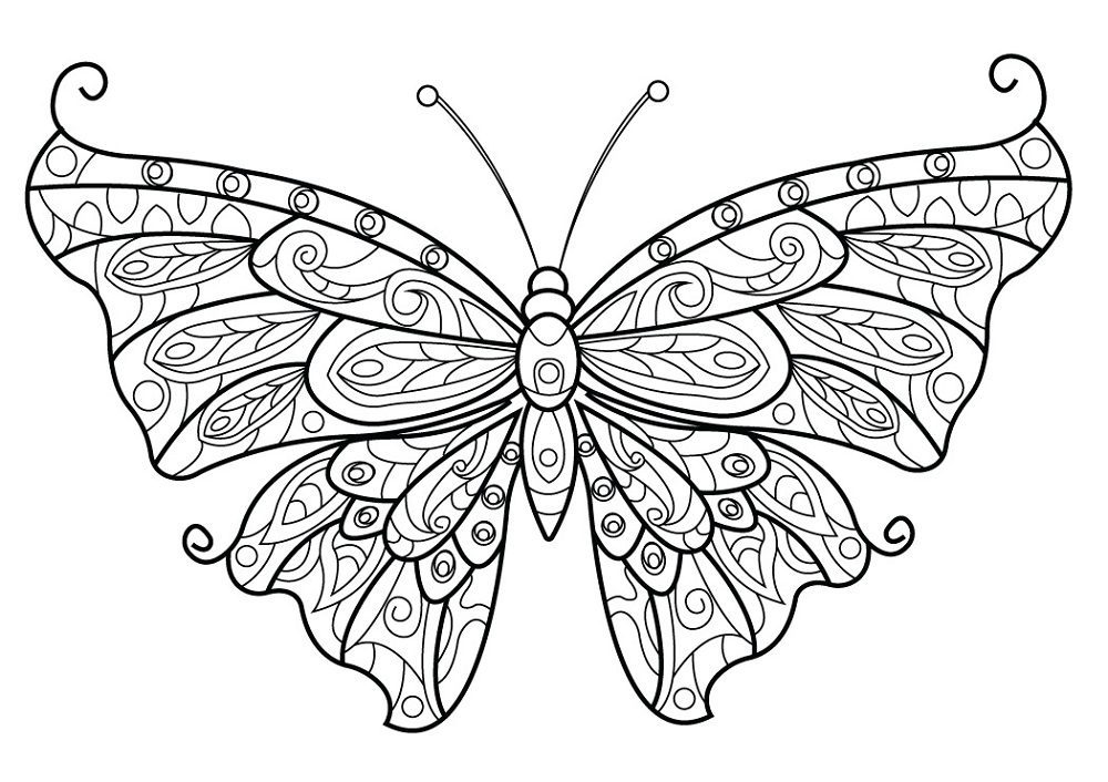 butterfly coloring pages