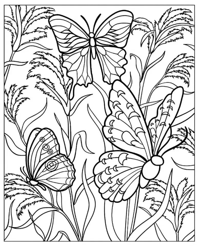 butterfly coloring pages adults
