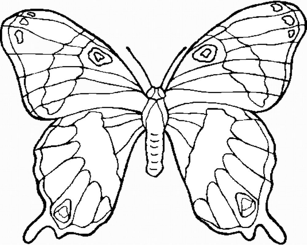 butterfly coloring pages colored