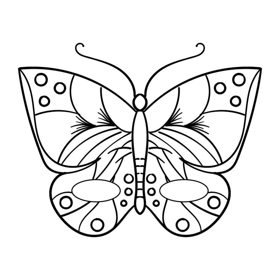 butterfly coloring pages easy