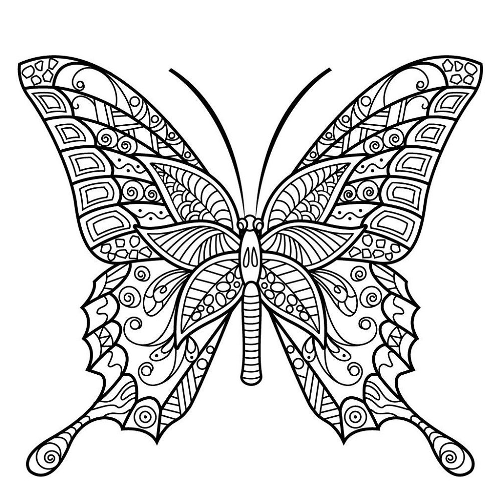 butterfly coloring pages for adults