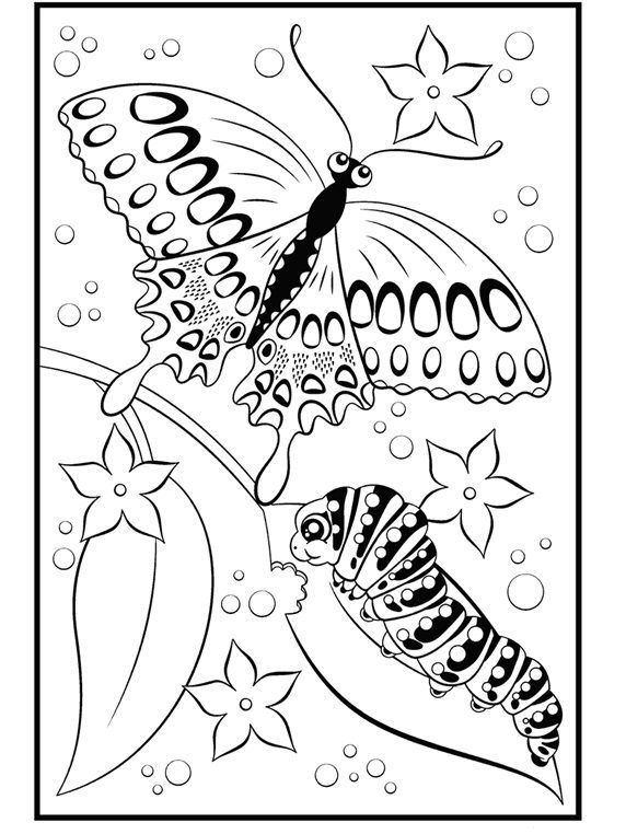 butterfly free printable coloring pages for water crayons kindergarten