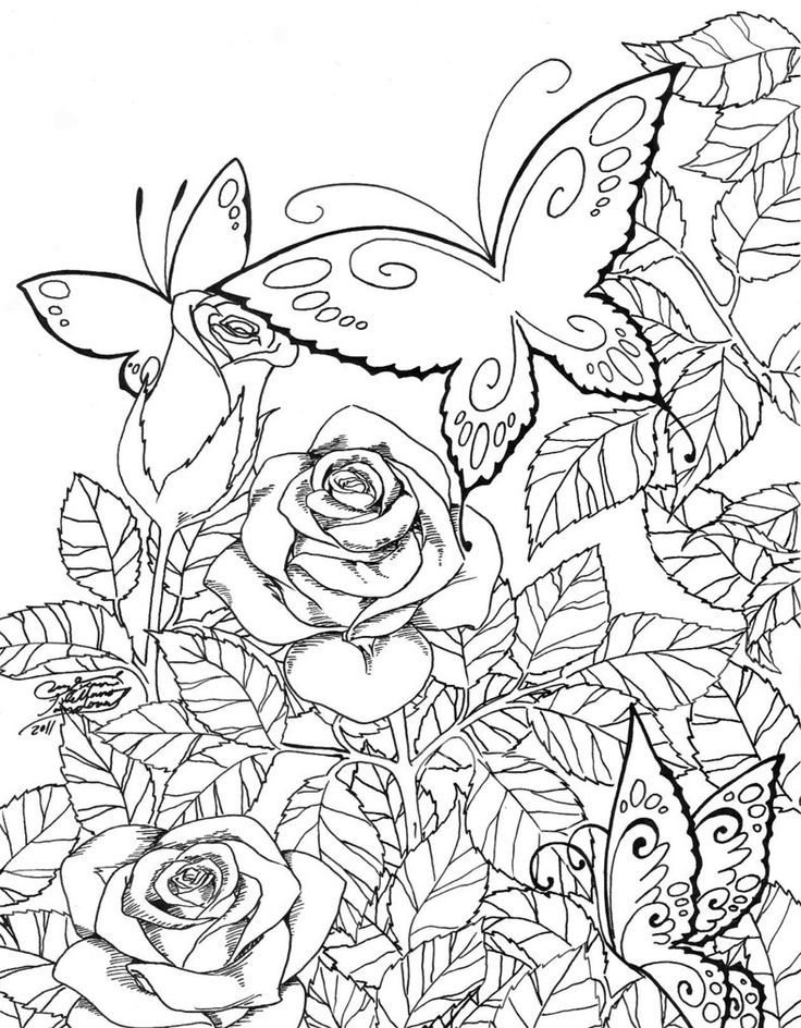 butterfly garden coloring pages