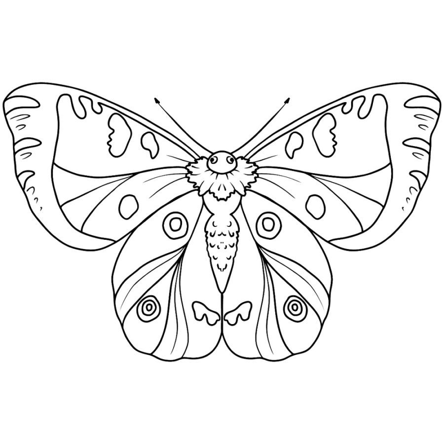 butterfly images coloring pages