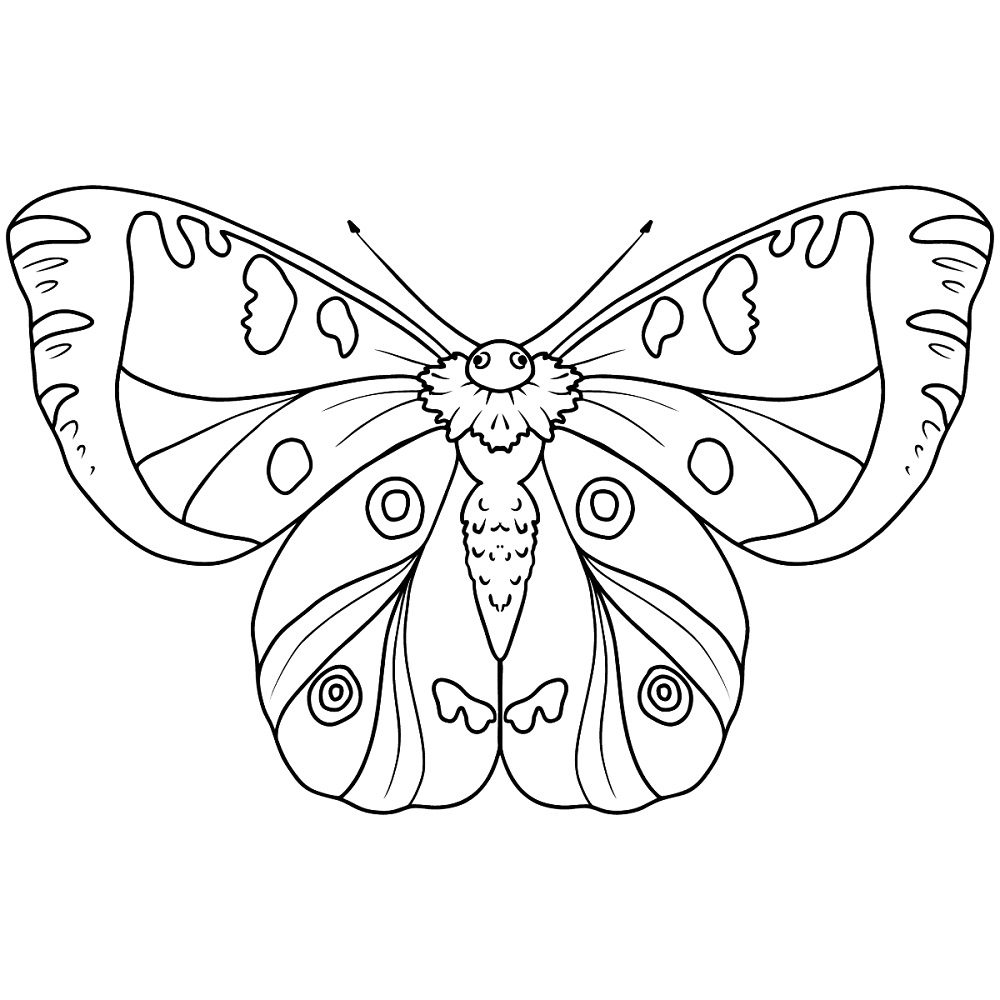 butterfly images coloring pages