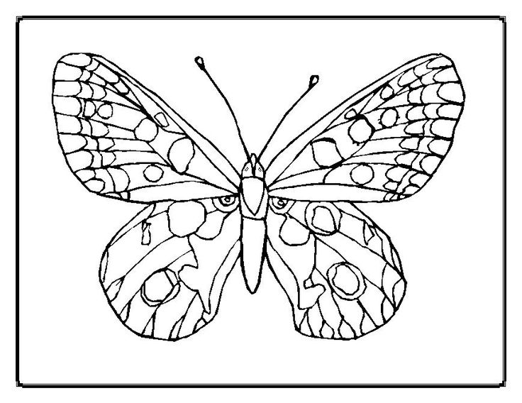 butterfly printable coloring pages