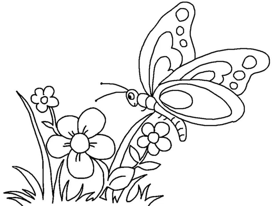 butterfly with flowers coloring pages