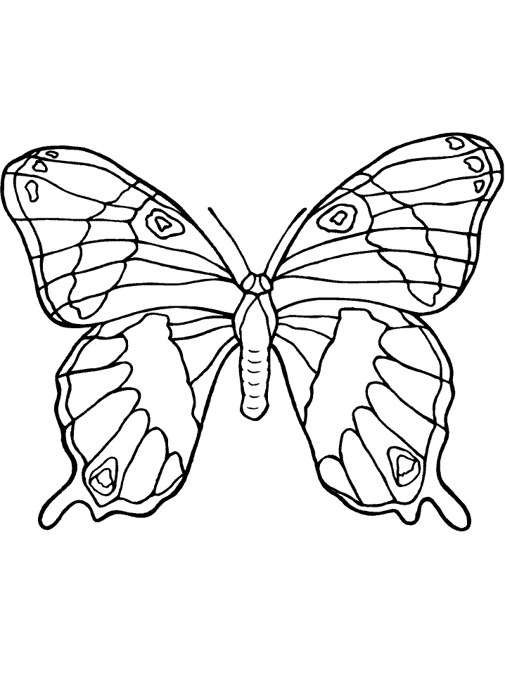Difficult Butterfly Coloring Page