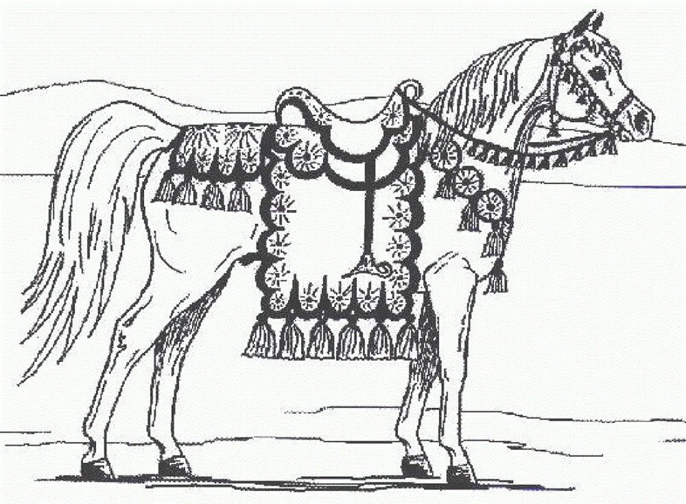 Camargue Horse Coloring Pages