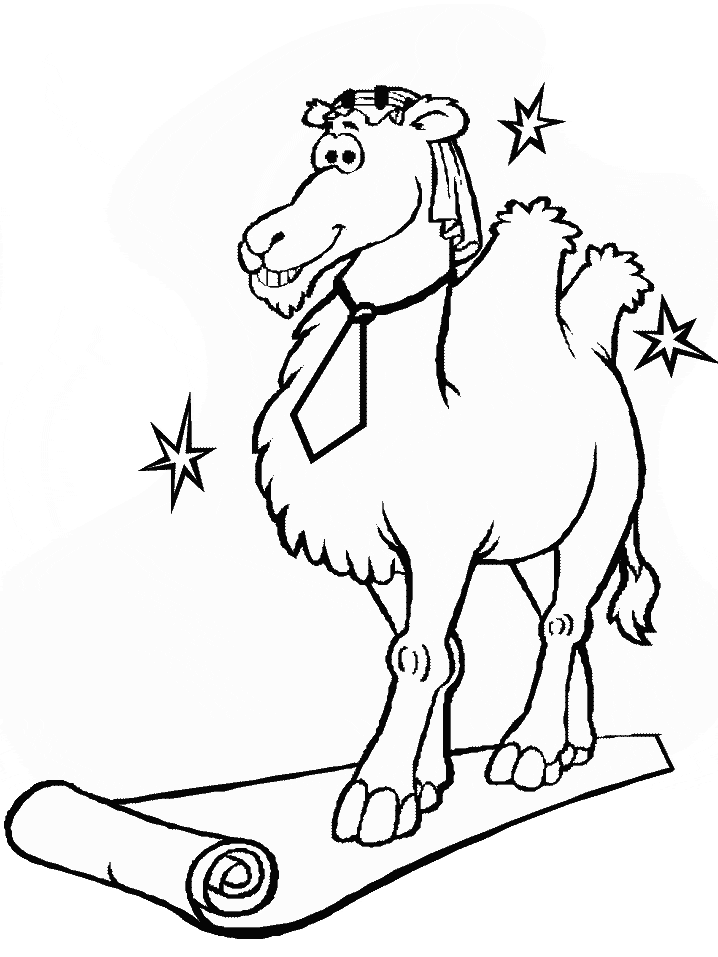 coloring page of camel